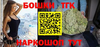 МДПВ Камышлов